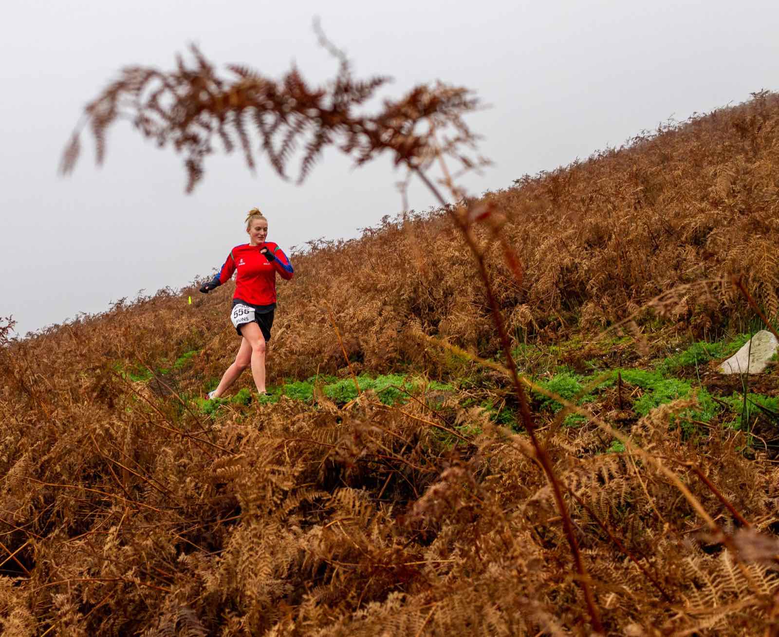 A runner descending through autumn bracken on the Blorenge