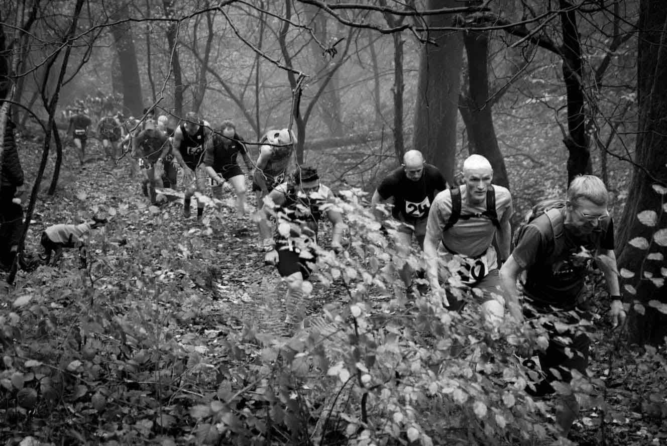A line of fell runners climbing steeply through woodland